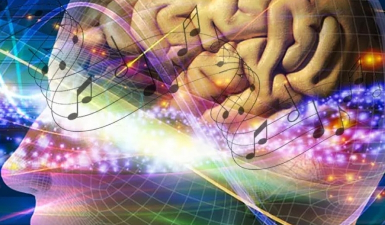 Anadolu Sifasi Neden Onemli